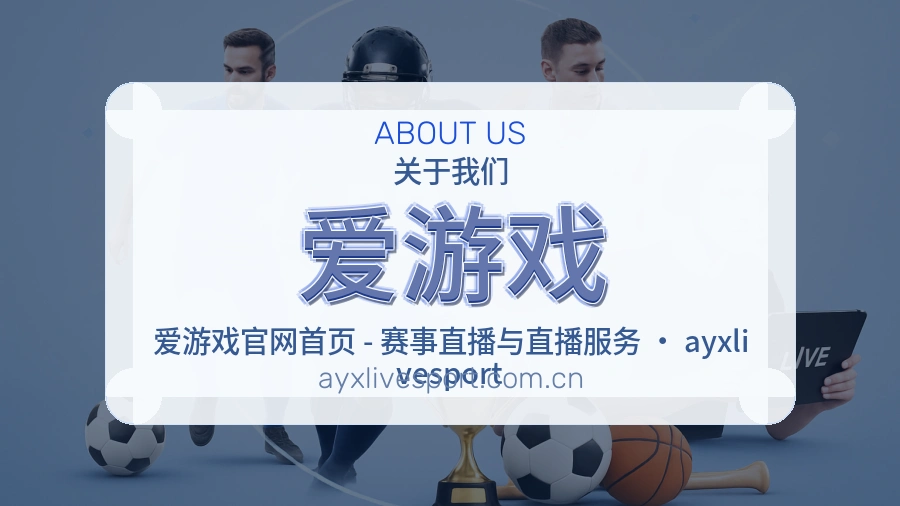 爱游戏关于平台与用户服务展示
